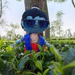 𝗞𝘂𝗻𝗮𝗹 𝗯𝗮𝗻𝗲𝗿𝗷𝗲𝗲 - @not_zerox07 - Instagram