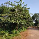 Kunal Dewangan - @kunaldewangan - Instagram