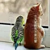 Kuo Chen - @30275539537 - TikTok