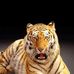 Kuo Chen Yiu - Facebook