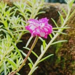 Sunil Abraham Kurien - @sunilabrahamkurien - Instagram