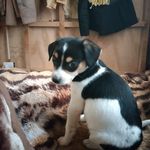 Kurt Appel - @kurt.appel - Instagram