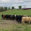 Kurt Ballard12 - @ballardfarm1 - TikTok