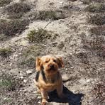 Kurt Barth - Facebook