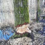 Kurt Barth - @der.kurt.barth67 - Instagram