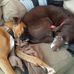 Kurt Beatty - Facebook