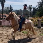 Kyle Kurtis Beatty - @kyle_kurtis_beatty - Instagram