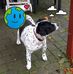 Kurt Beier - Facebook