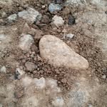 kurt bird - @birdkurt - Instagram