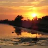 Kurt Bittner - @kurt.bittner1 - TikTok
