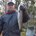 Kurt Blomqvist - @kurtblomqvist - Instagram