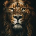 Kurt Bradley - @kurt_bradley40 - Instagram
