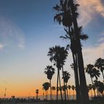 @kurt.brunner.12 - Instagram