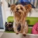 Kurt Brunner - Facebook