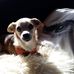 Kurt Brunner - Facebook