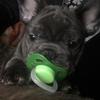 Kurt_burns_2009 - @kurtburns - TikTok