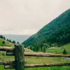 byrdkurt - @byrdkurt - TikTok
