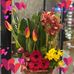 Canan Kurt - Facebook