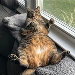 Kurt Casanova - @casanova_kurt - Instagram