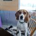 Kurt Cavanaugh - Facebook