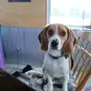 kurtcavanaugh - @kurtcavanaugh - TikTok
