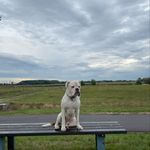 Kurt - @chaos_kurt - Instagram