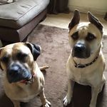Kurt Clarke - @kurt.clarke07 - Instagram