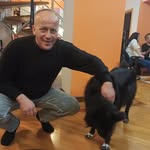 Omer Kurta Kurtović - @kurtovicomer - Instagram