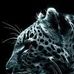 Kurt Conner - Facebook