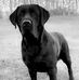 Kurt Davis - Facebook