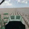 Kurt Davis - @4_d_farms - TikTok