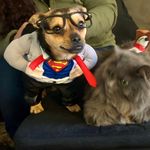 Kurt Marshall Dillon - @kurt_chug_life - Instagram