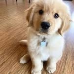 Kurt Donovan - @kurtdonovan_89 - Instagram