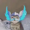 KurtDudley - @janicejqvi4 - TikTok