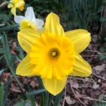 Kurt Eckert - @kurt.eckert - Instagram