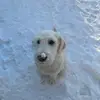 Curt Evans - @curt.evans17 - TikTok