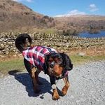 Kurt Evans - @blackpoolkurt - Instagram