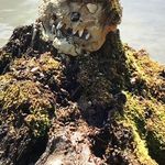 Kurt Ford - @kurt.ford.7967 - Instagram