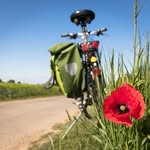 Kurt Fritts - @kurt_fritts83554736 - Instagram