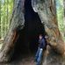 Kurt Fritz - Facebook