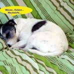 Kurt Fritzsche - Facebook