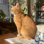 Kurt Fuchs - @meneerkurt - Instagram
