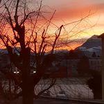 Kurt Fuchs - @kurtfuchs4 - Instagram