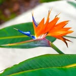 Kurt Gardner - @4eyesfront - Instagram