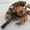Kurt Gardner - @adumbcrab - TikTok