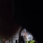 Kurt Geisel - @geisel.kurt - Instagram