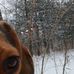 Gerhard Kurtz - Facebook