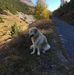Kurt Gerhard - Facebook