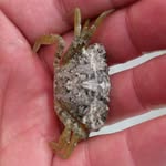 Kurt Gerhard Almendingen - @kurtgalm - Instagram