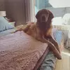 user6626850672769 - @kurt_golden - TikTok